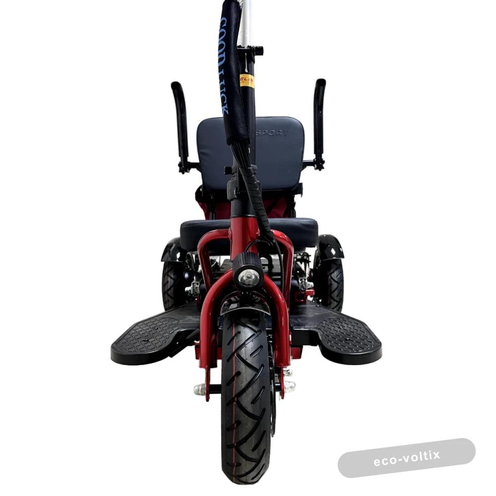 Электротрицикл Elbike Адъютант Twix 350 A2 (2x350W 48V 20Ah) Trike
