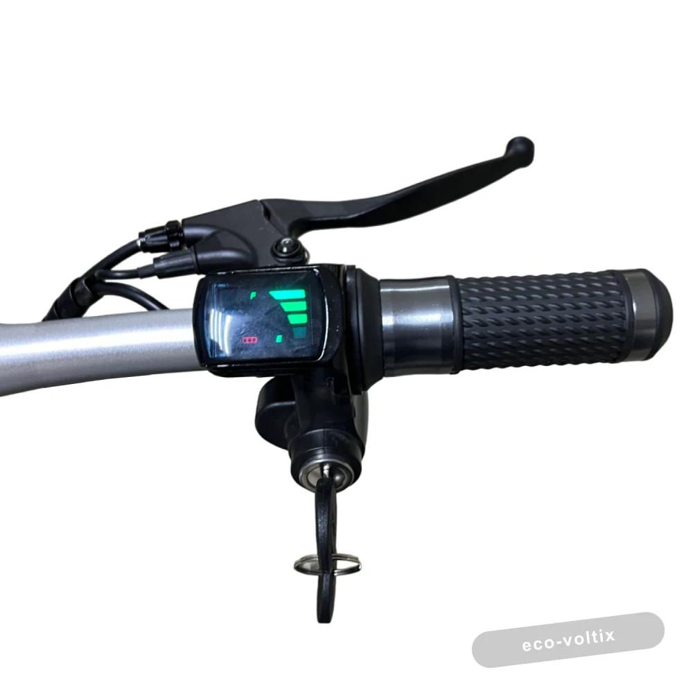 Электротрицикл Elbike Адъютант Twix 350 A2 (2x350W 48V 20Ah) Trike