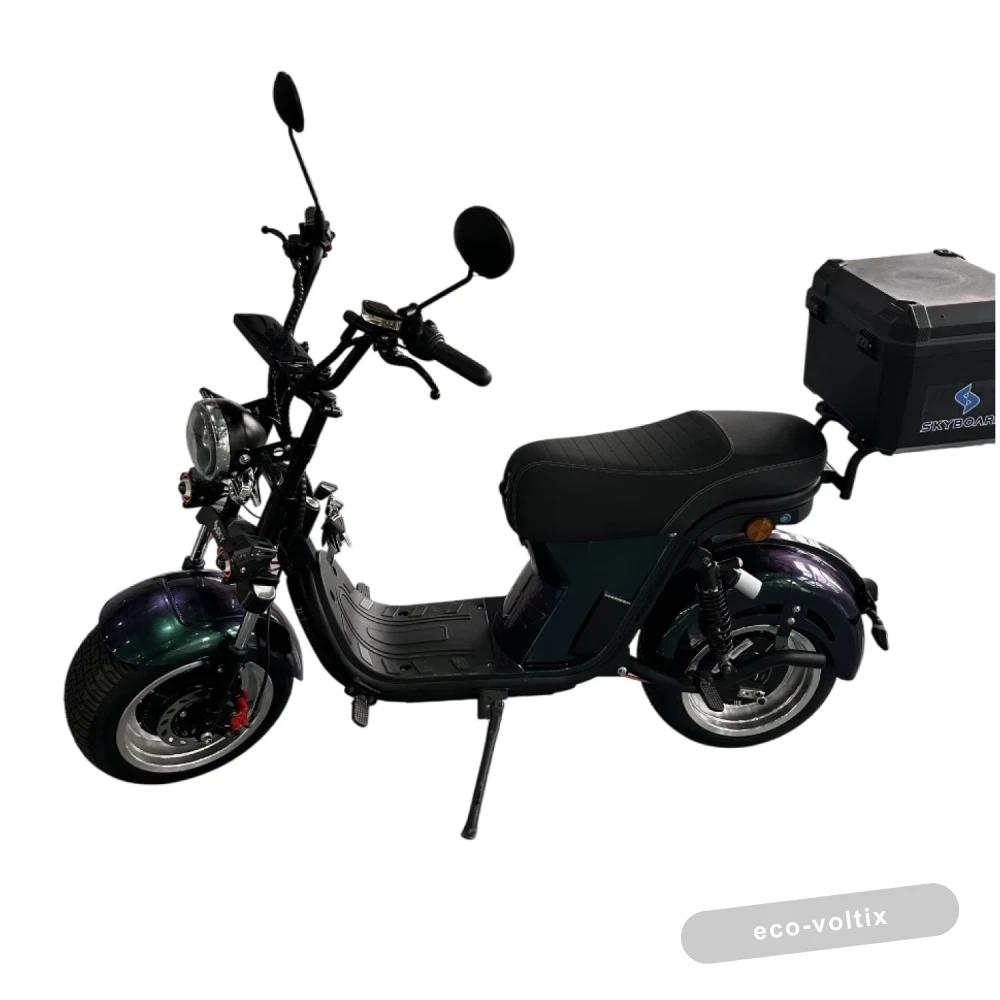 Электроскутер Skyboard Ural 2WD LiFePo4